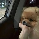 纯情小卡呀的头像